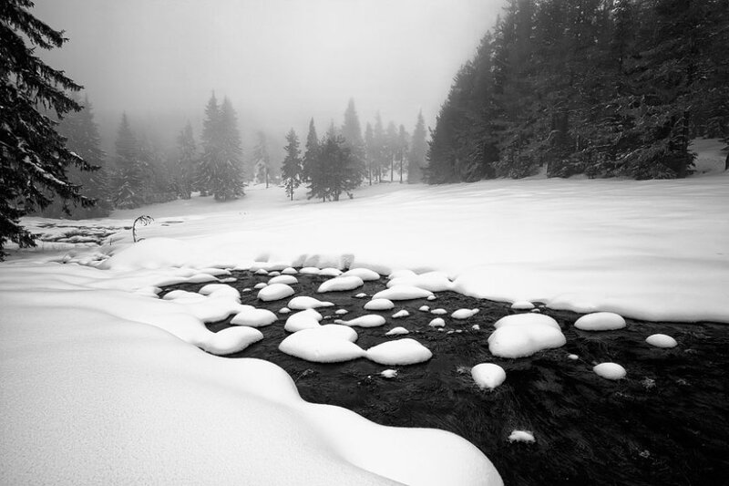Snow-covered Stream