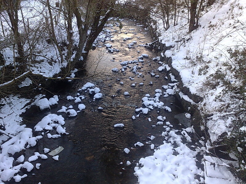 Snow-covered Stream — White, Calm, Winter, Photograph, Trees