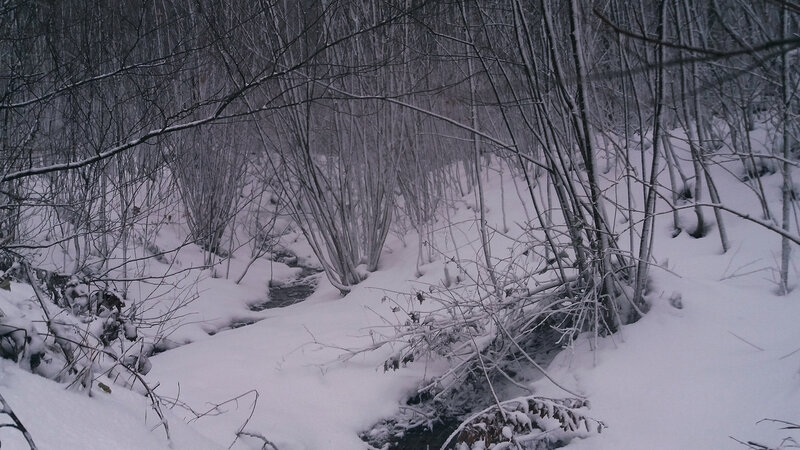 Snow-covered Stream — White, Cold