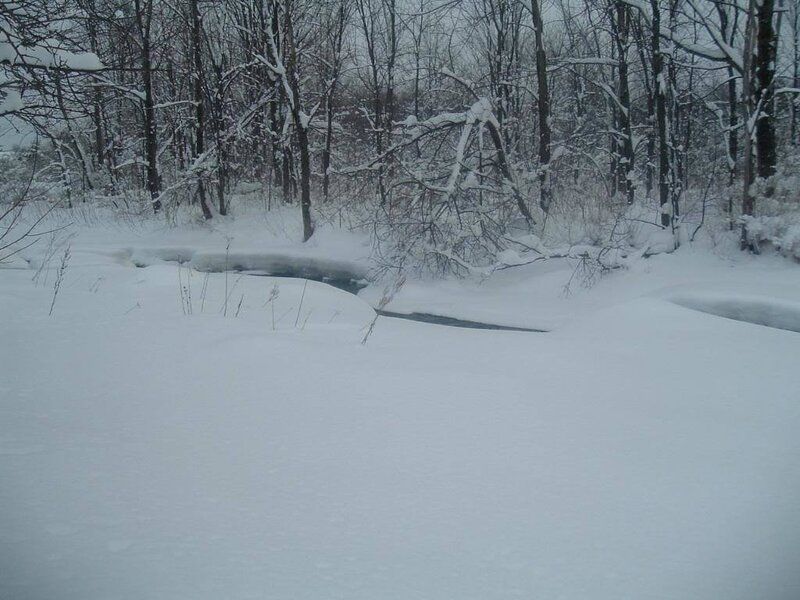 Snow-covered Stream — White, Cold, Winter, Photograph, Trees, Snow