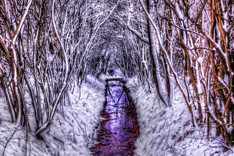 Snow-covered Stream — White, Dramatic
