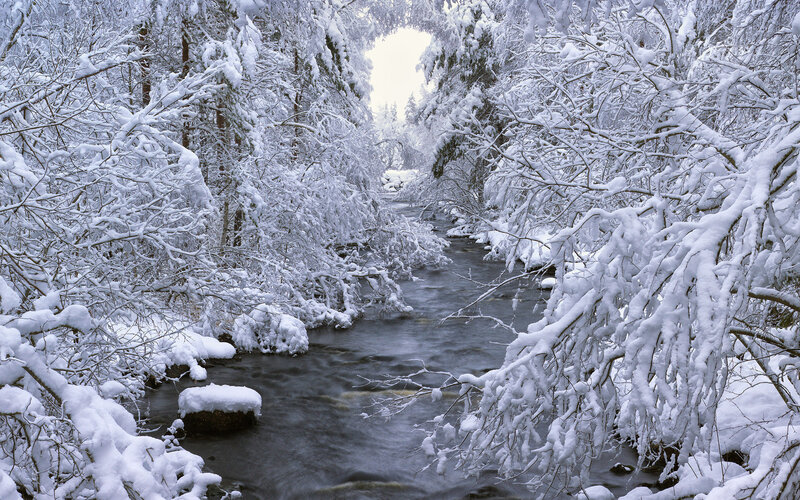 Snow-covered Stream — White, Serene, Winter, Photograph, River