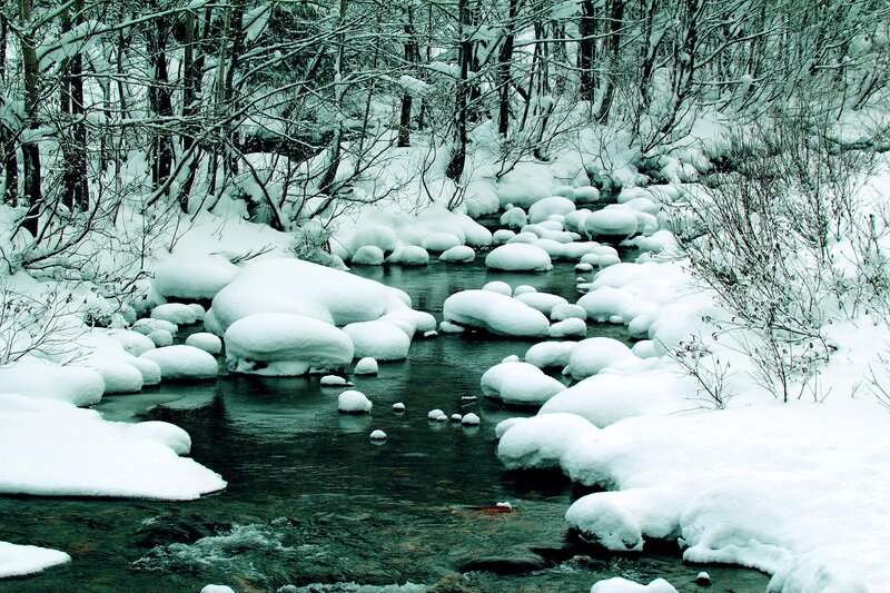 Snow-covered Stream — White, Serene, Winter, Photograph, River, Trees, Snow