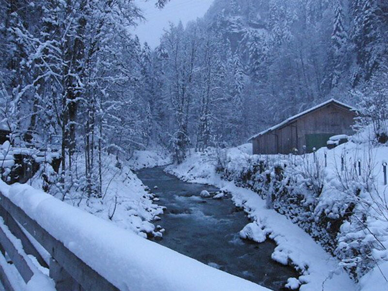 Snow-covered Stream — White, Serene, Winter, Photograph, Trees, Bridge