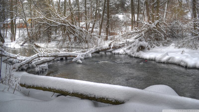 Snow-covered Stream — White, Serene, Winter, Photograph, Trees, Fallen Log