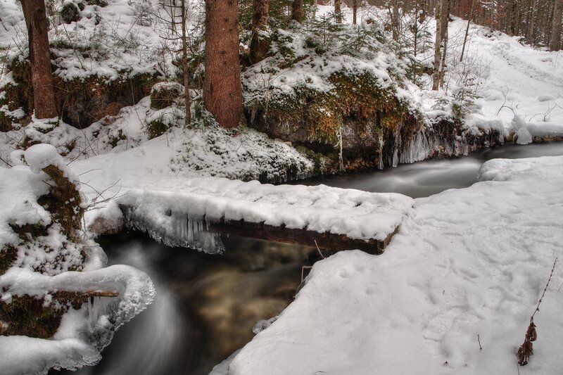 Snow-covered Stream — White, Serene, Winter, Photograph, Trees, Ice