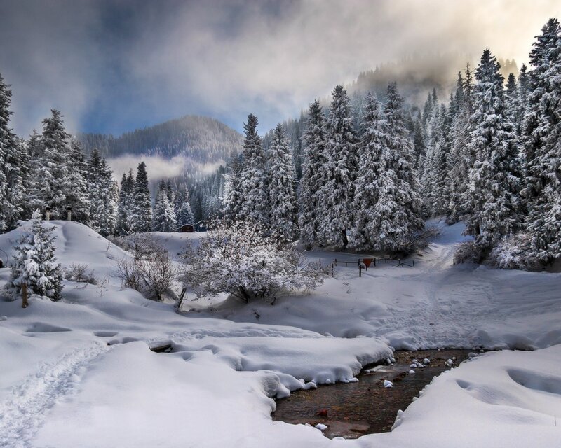 Snow-covered Stream — White, Serene, Winter, Photograph, Trees, Mountain
