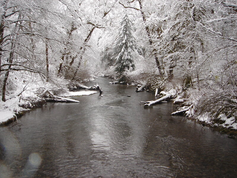 Snow-covered Stream — White, Serene, Winter, Photograph, Trees, River, Snow, Brown, Gray