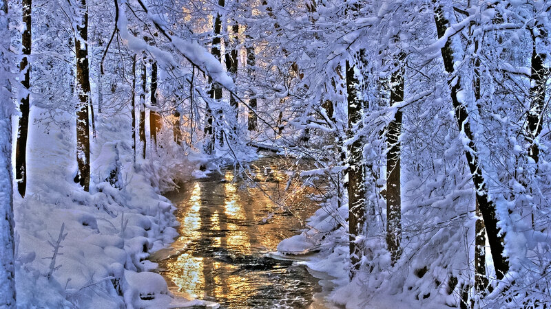Snow-covered Stream — White, Serene, Winter, Photograph, Trees, River