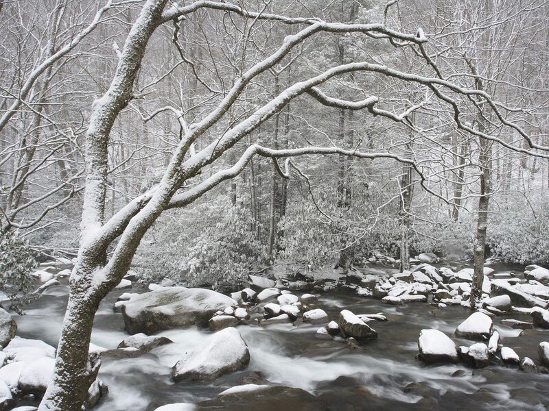 Snow-covered Stream — White, Serene, Winter, Photograph, Trees, Rocks, Forest