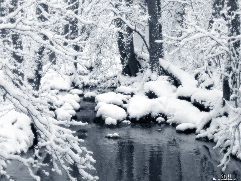 Snow-covered Stream — White, Serene, Winter, Photograph, Trees, Rocks, River