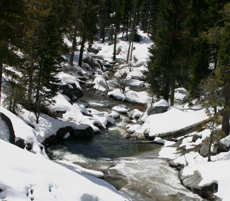 Snow-covered Stream — White, Serene, Winter, Photograph, Trees, Rocks, Snow, Green