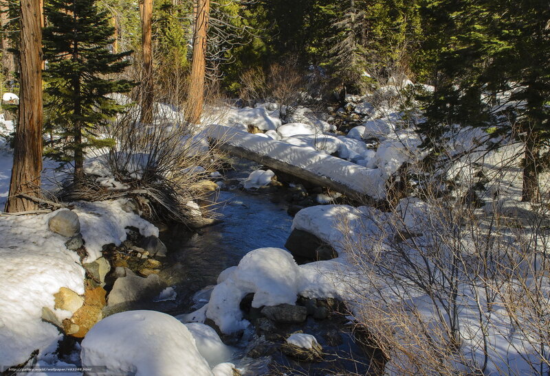 Snow-covered Stream — White, Serene, Winter, Photograph, Trees, Rocks, Snow