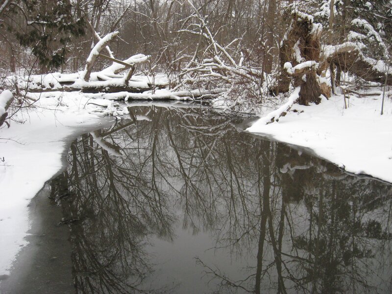 Snow-covered Stream — White, Serene, Winter, Photograph, Trees, Snow, Fallen Logs