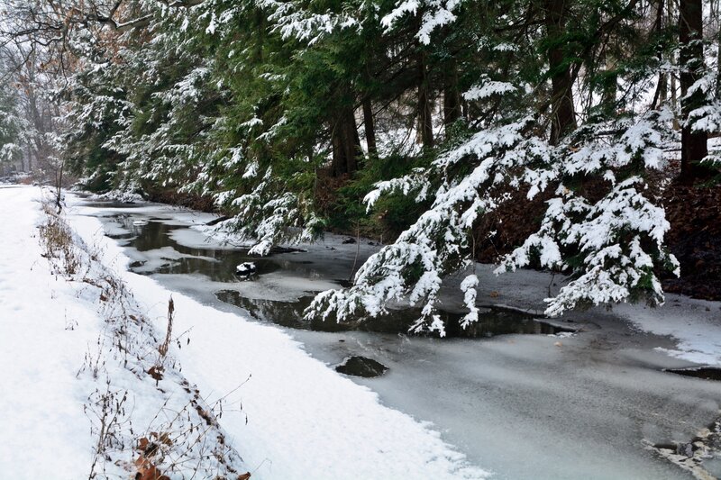 Snow-covered Stream — White, Serene, Winter, Photograph, Trees, Snow, Ice