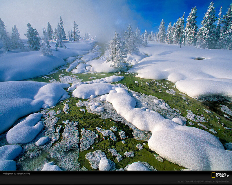 Snow-covered Stream — White, Serene, Winter, Photograph, Trees, Snow, Moss, Fog