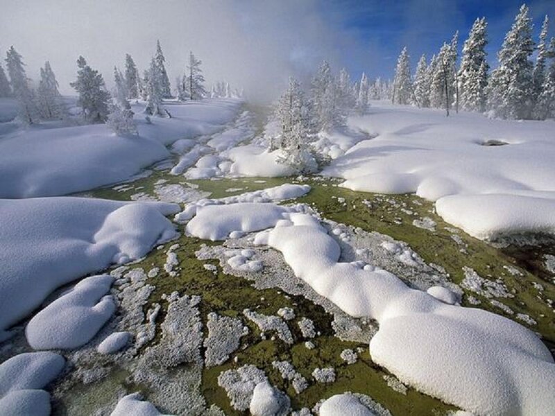 Snow-covered Stream — White, Serene, Winter, Photograph, Trees, Snow, Moss, Sky
