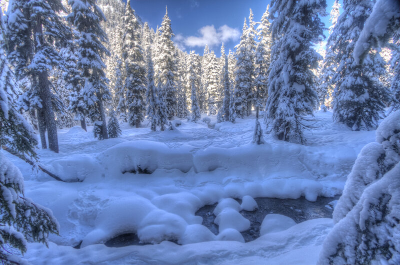 Snow-covered Stream — White, Serene, Winter, Photograph, Trees, Snow, Sky