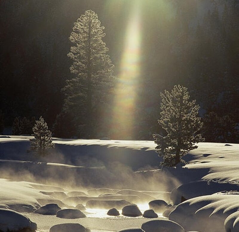 Snow-covered Stream — White, Serene, Winter, Photograph, Trees, Sunlight, Steam
