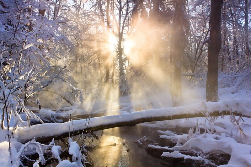 Snow-covered Stream — White, Serene, Winter, Photograph, Trees, Sunlight