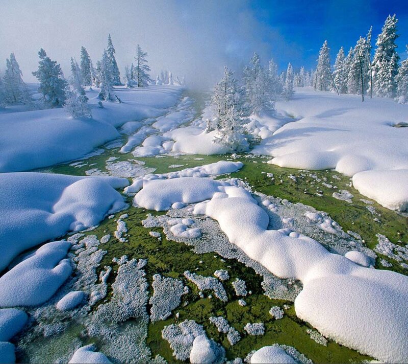 Snow-covered Stream — White, Serene, Winter, Photograph, Trees