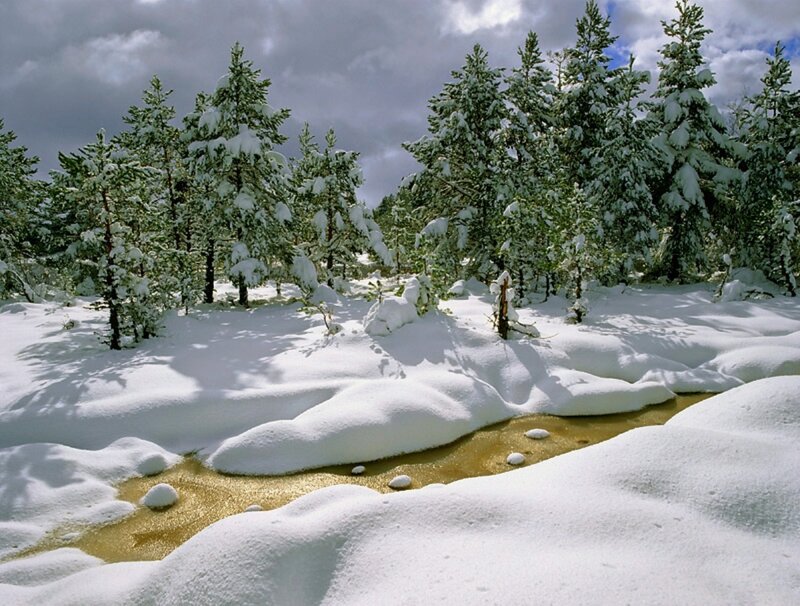 Snow-covered Stream — White, Serene, Winter