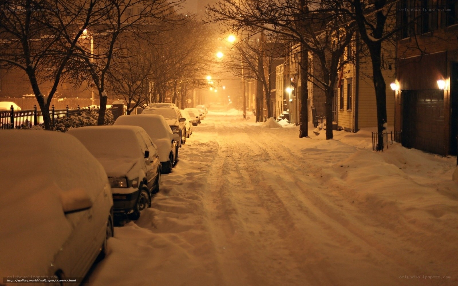 snow-covered street at night