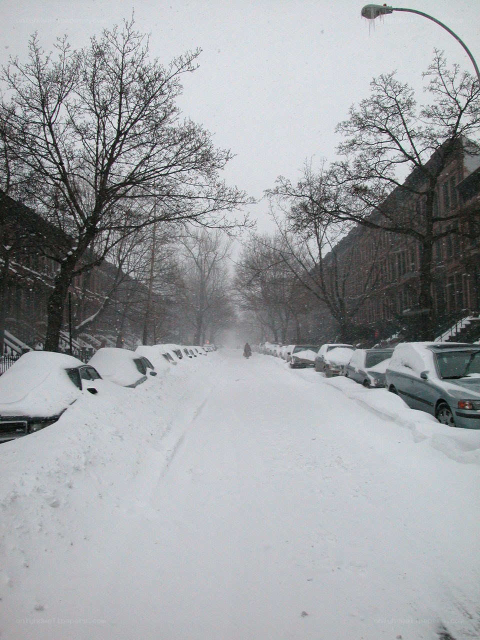 Snow-covered street during a blizzard