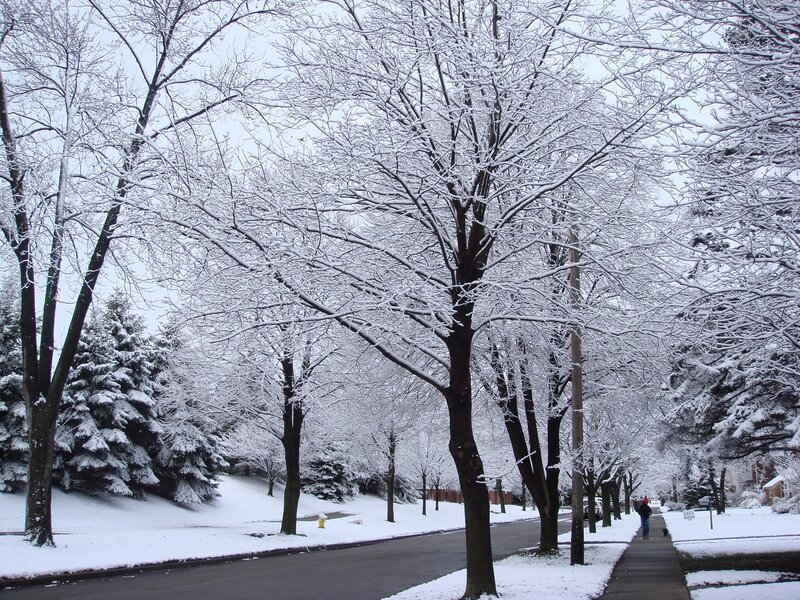 Snow-covered street in winter