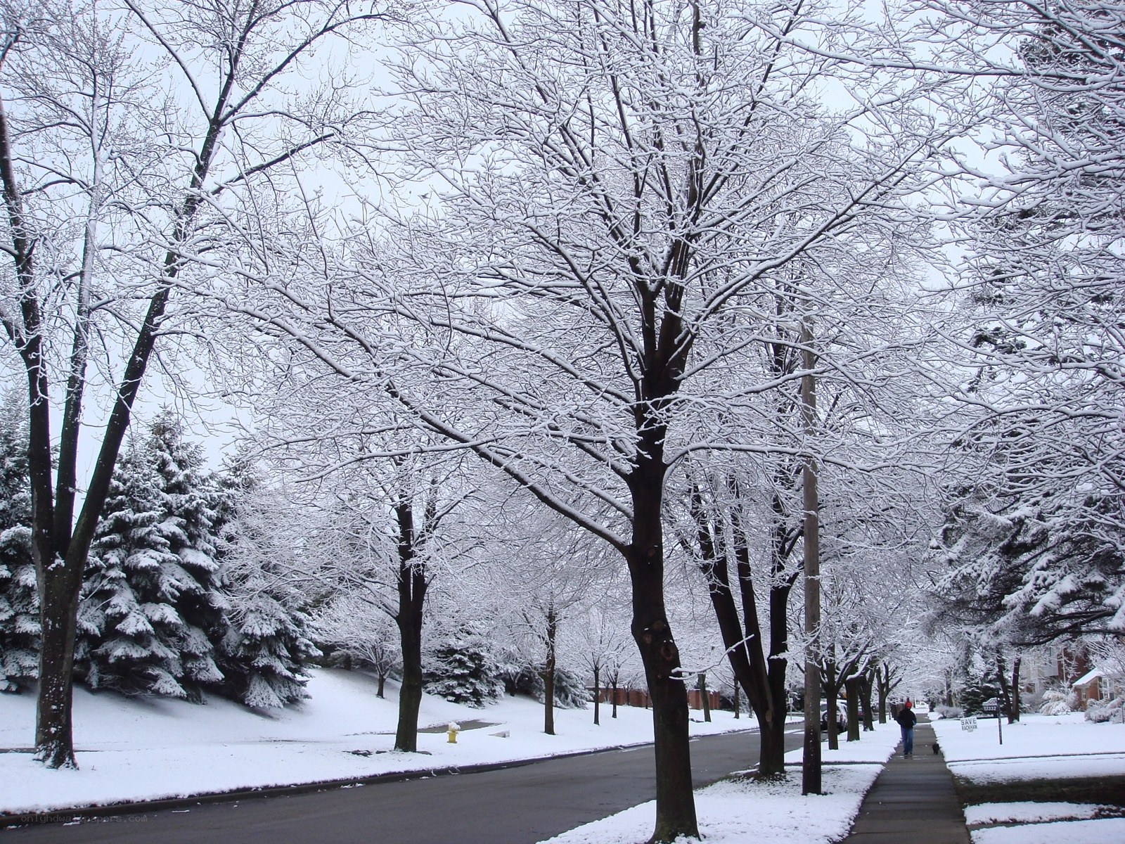 Snow-covered street in winter