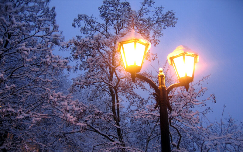 Snow-covered Street Lamps — Blue, Serene