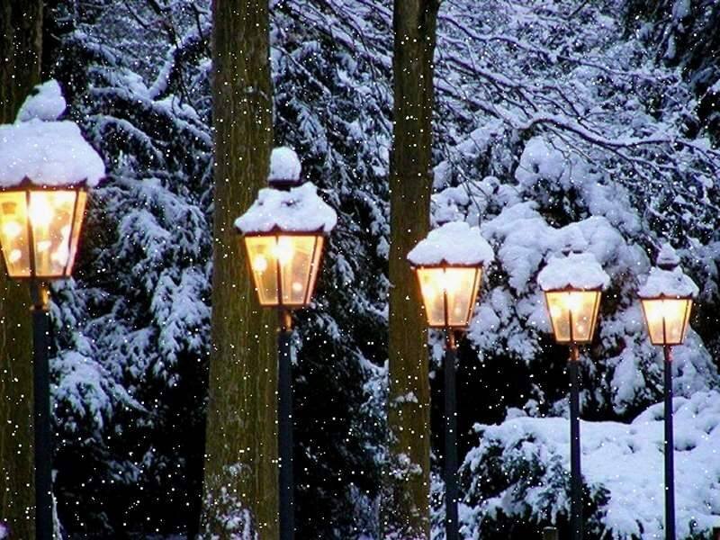 Snow-covered Street Lamps — White