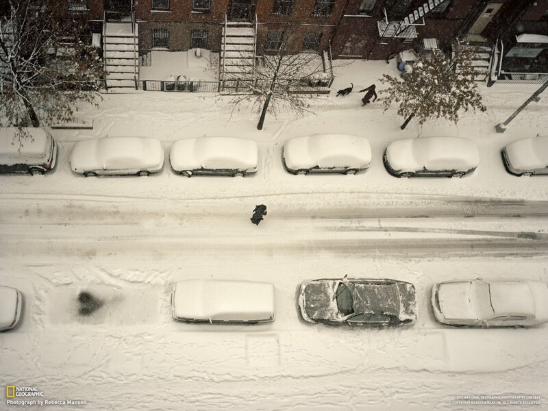 Snow-covered street view