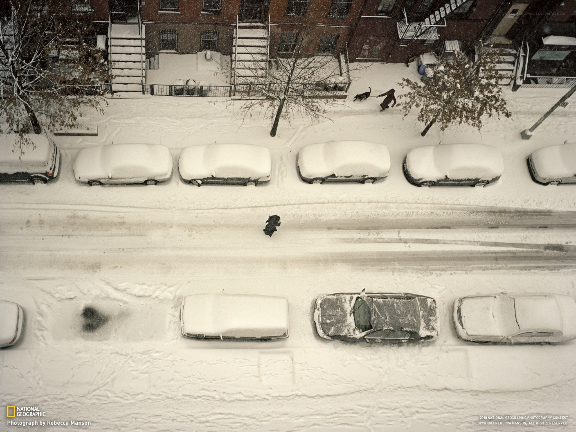 Snow-covered street view