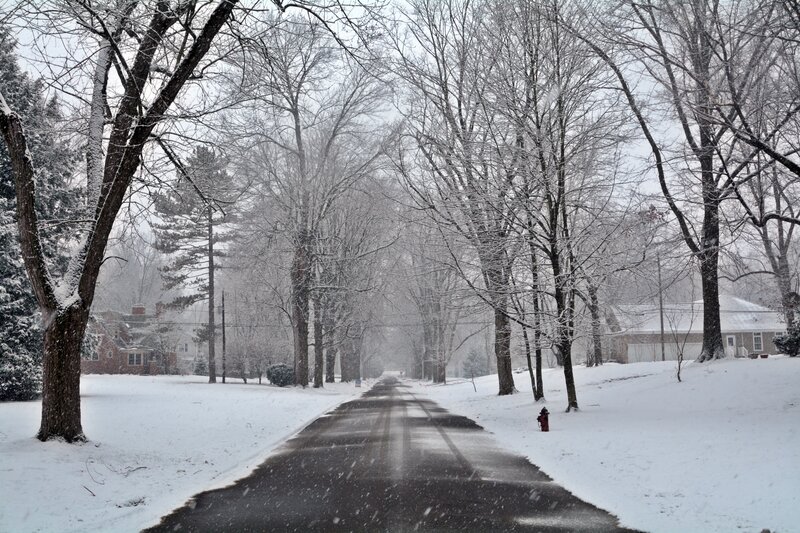 Snow-covered Street — White, Calm, Winter, Photograph, Trees, Fire Hydrant