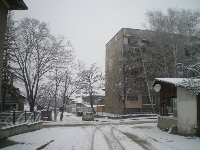 Snow-covered Street — White, Cold, Winter, Photograph, Apartment Building