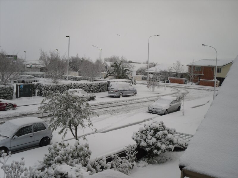Snow-covered Street — White, Cold, Winter, Photograph, Cars, Hedges