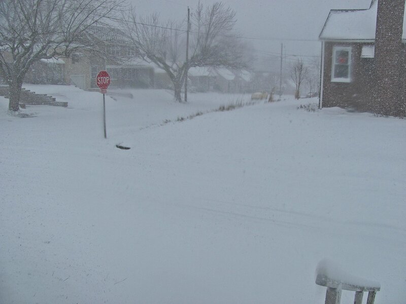 Snow-covered Street — White, Cold, Winter, Photograph, Stop Sign, House