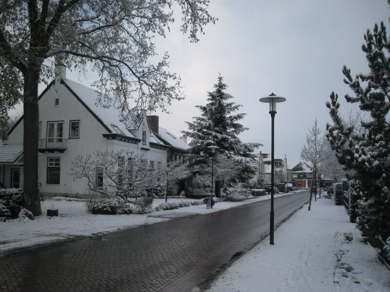 Snow-covered Street — White, Quiet