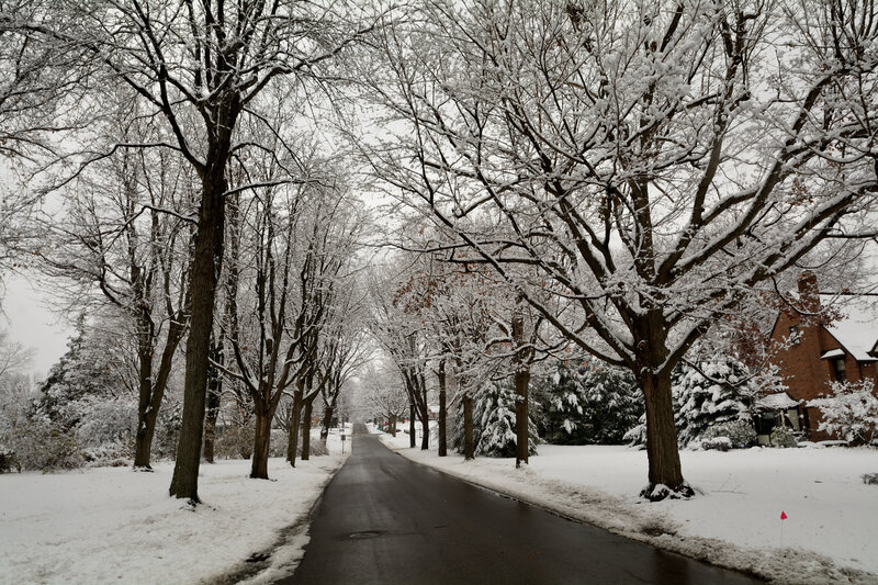 Snow-covered Street — White, Quiet, Winter, Photograph, Trees