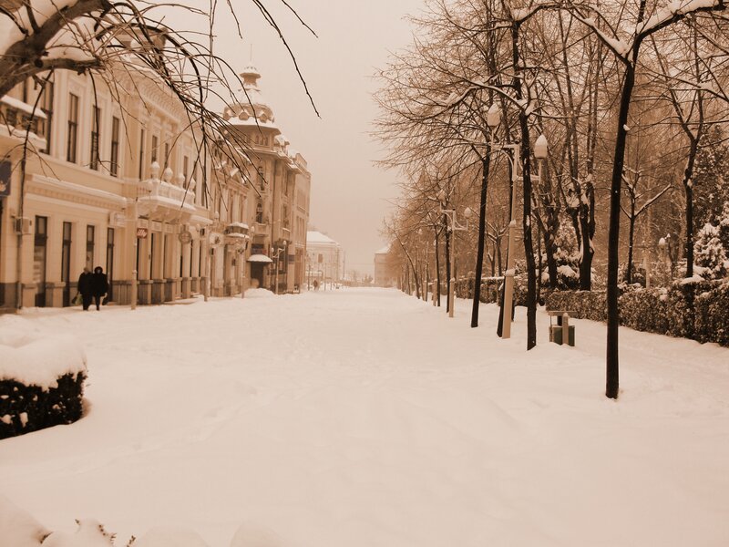 Snow-covered Street — White, Quiet, Winter