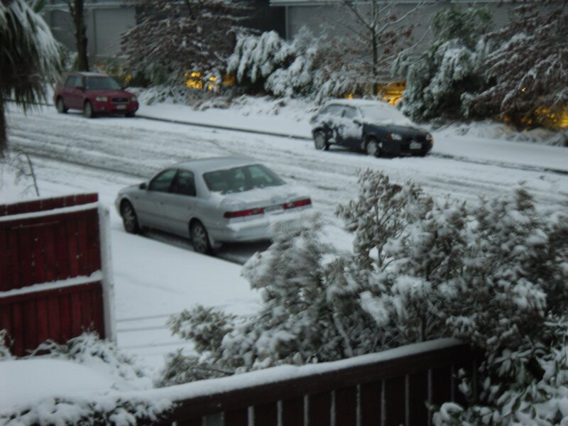 snow-covered street with cars