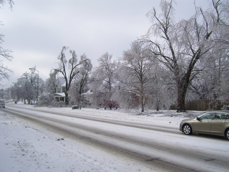 Snow-covered street with ice-laden trees