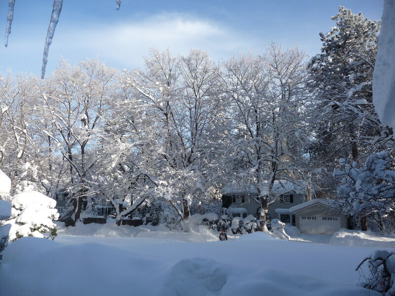 Snow-covered suburban neighborhood