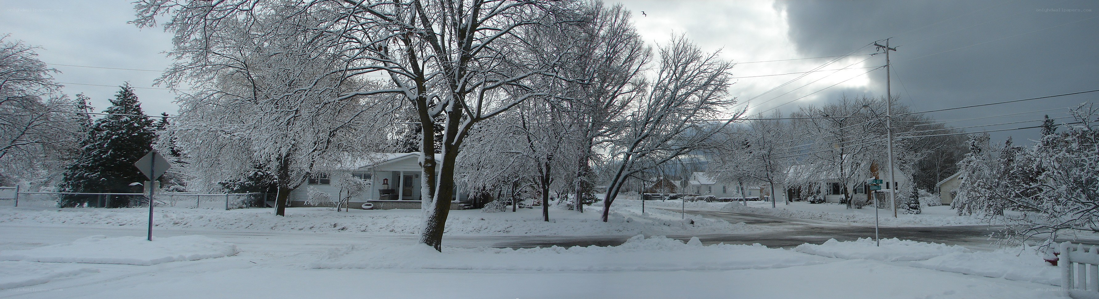 snow-covered suburban street