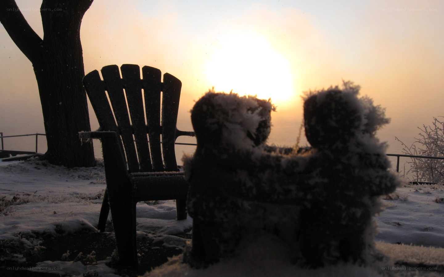 Snow-covered teddy bears at sunset