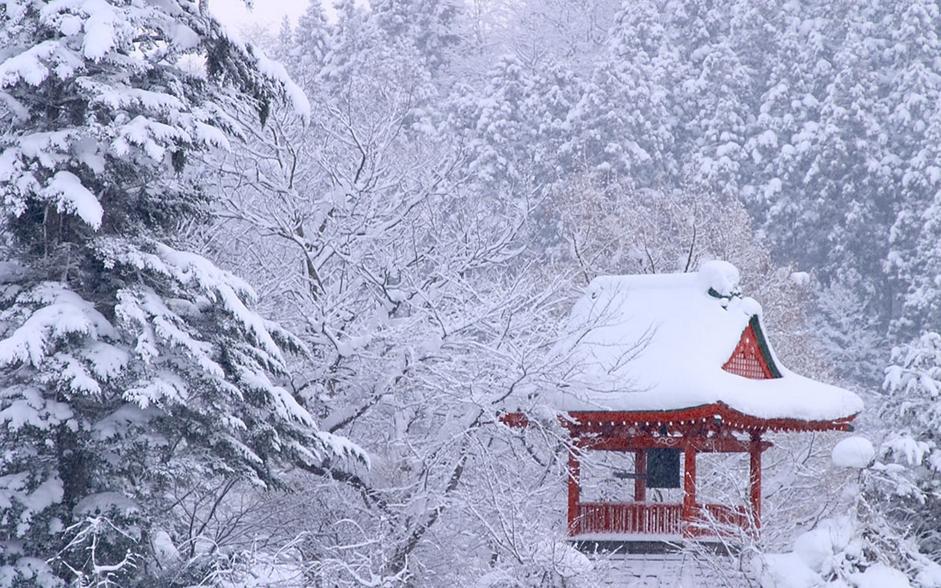 Snow-covered temple in winter forest