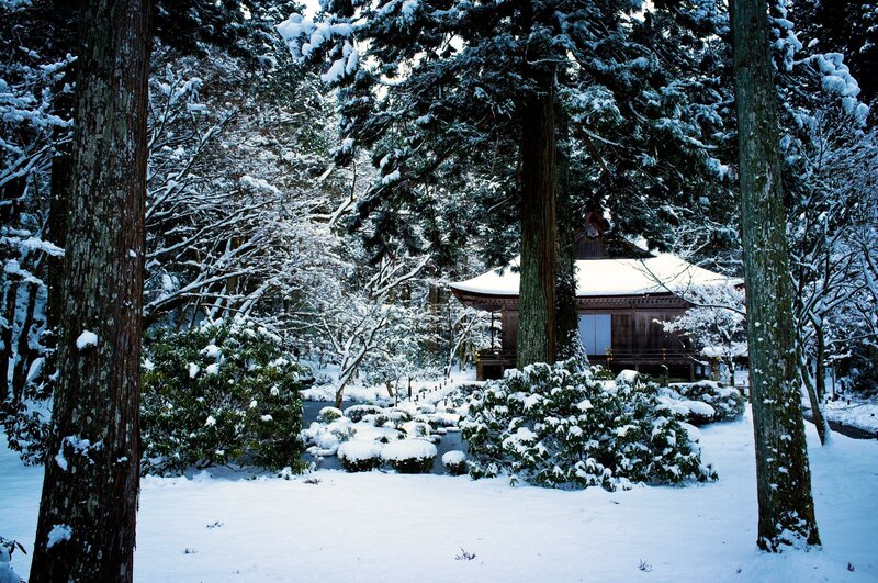 Snow-covered Temple — White, Serene, Winter