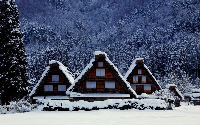 Snow-covered thatched-roof houses