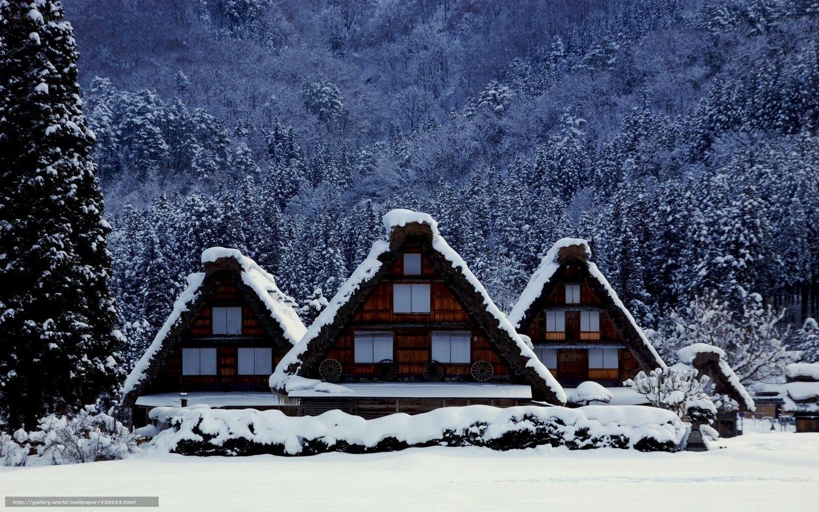 Snow-covered thatched-roof houses